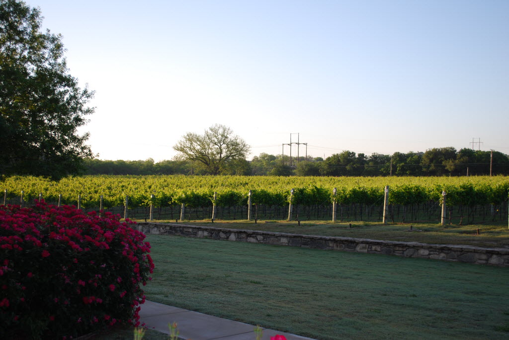 How To See 7 Top Texas Wineries In One Hill Country Weekend | Travel ...