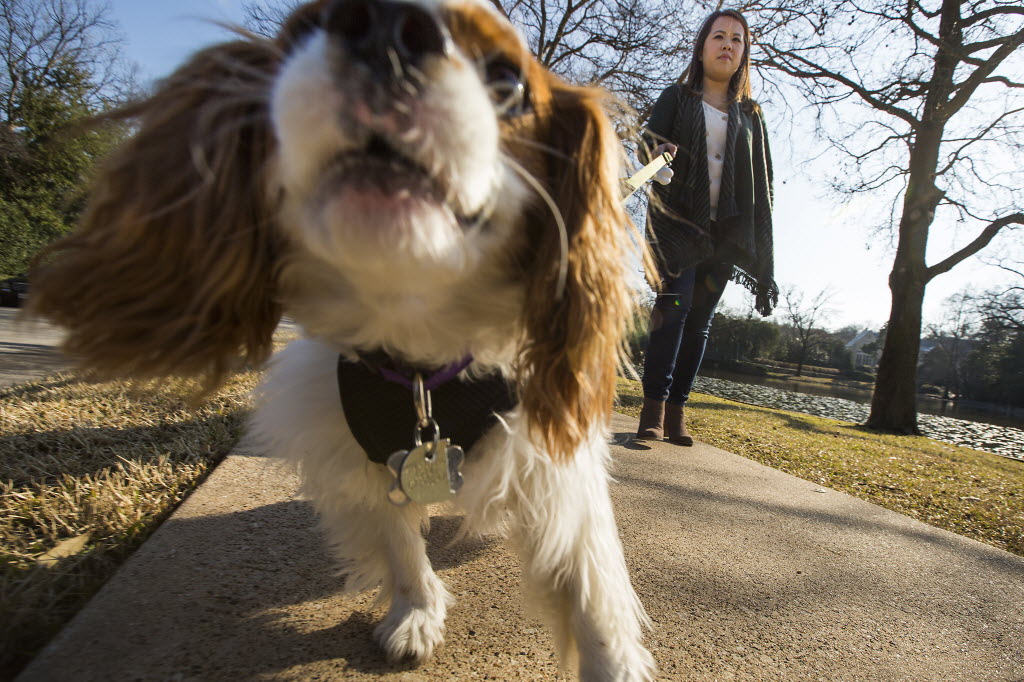 Dallas nurse Nina Pham declared free of Ebola