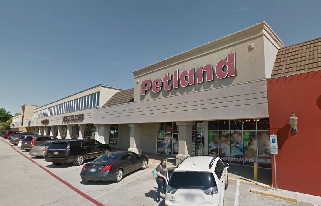 Pair stole identity to buy 6,666 dog at Dallas pet store