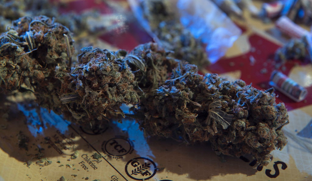 Easter grass 'not the only kind' found on holiday, Texas &hellip;