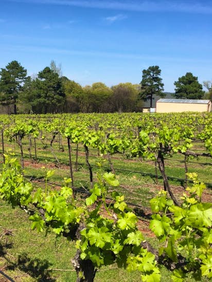3 award winning texas wineries where you can stay the night texas