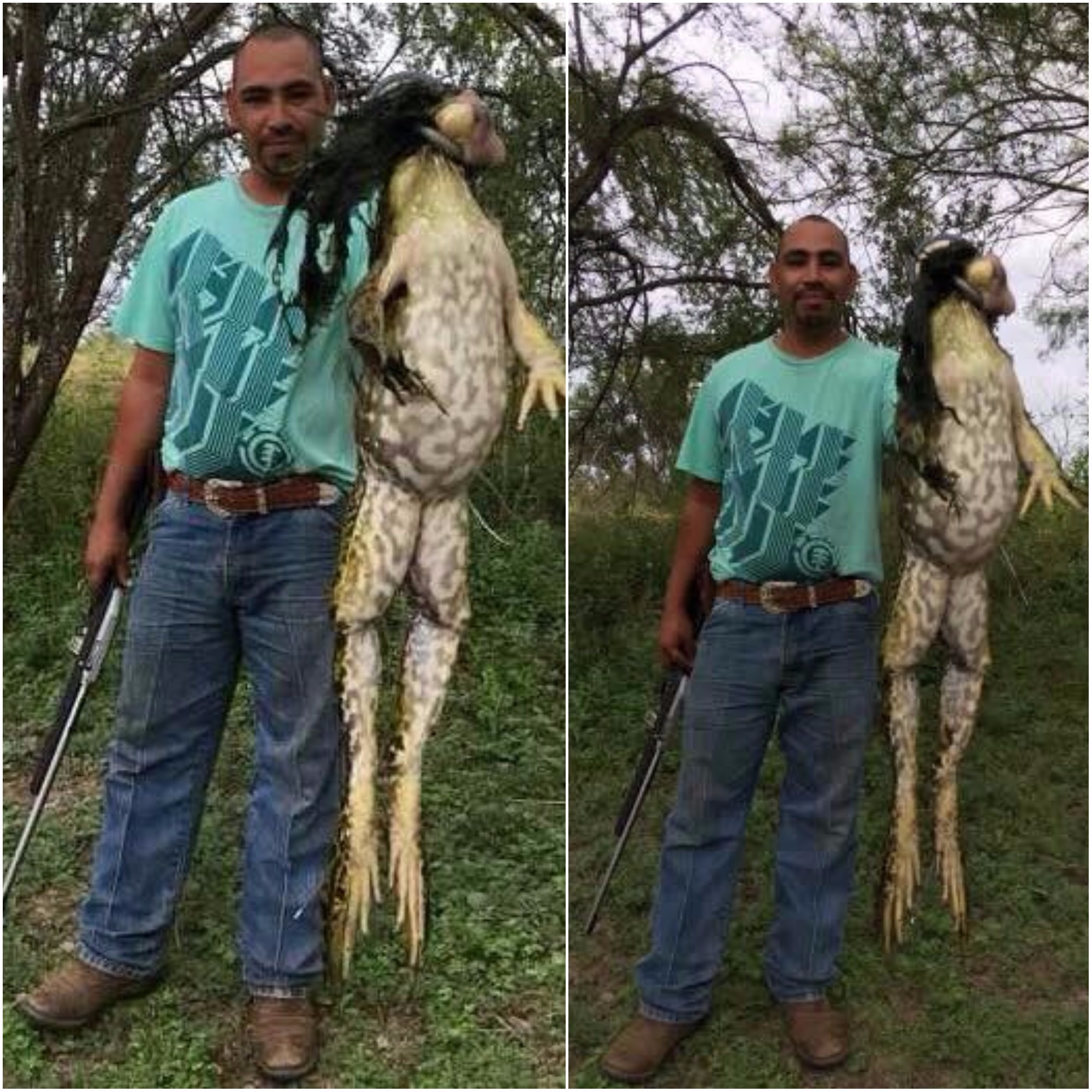 A Texas man caught a monster bullfrog, and the internet is grossed out