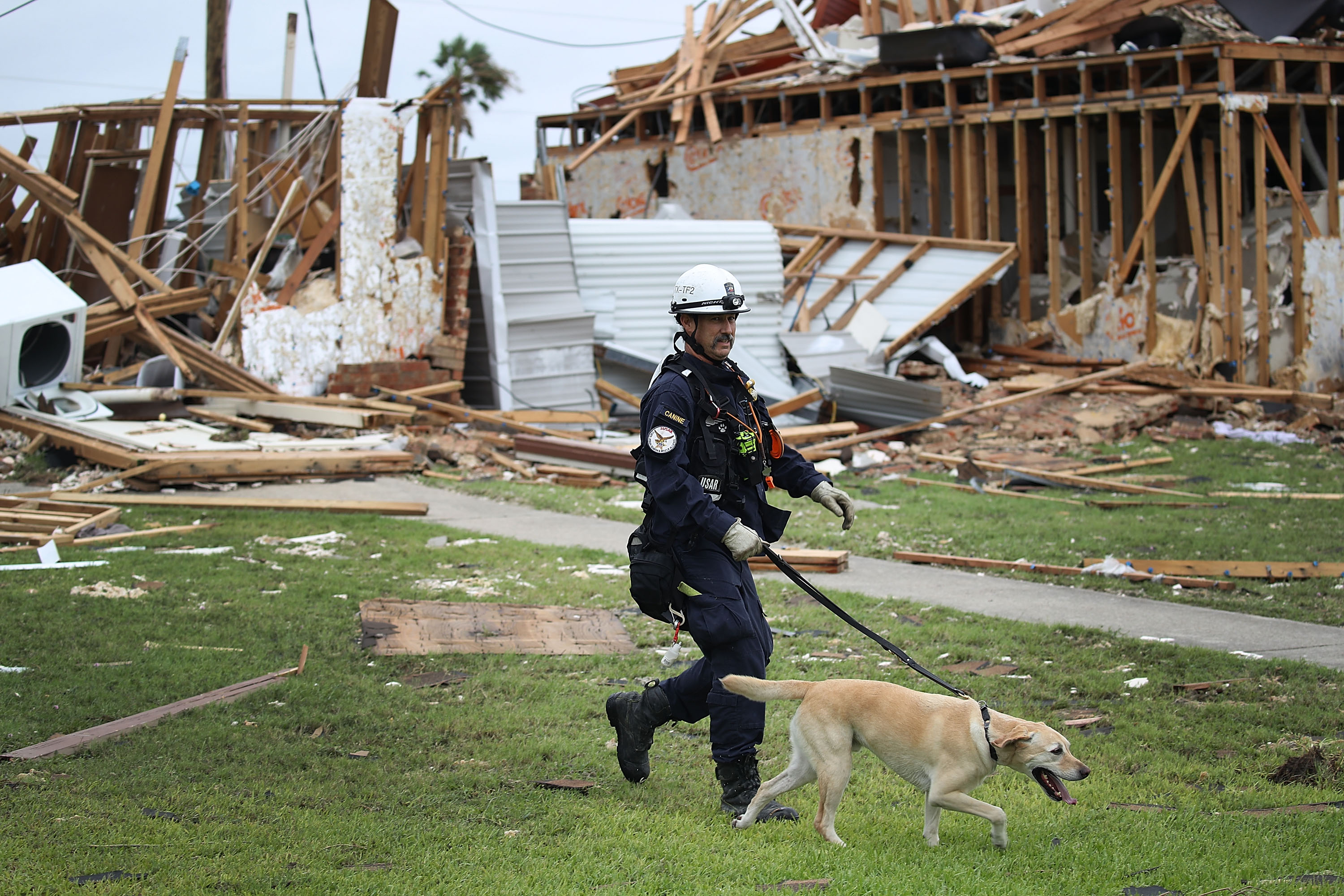 Robert Grant and Rocky from the Texas Task Force 2 search and rescue team work through an apartment complex Sunday that was destroyed when Hurricane Harvey passed Rockport.&nbsp;(Joe Raedle/Getty Images)