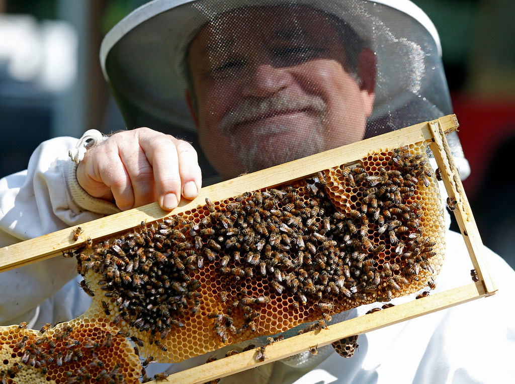 Why Local Raw Unfiltered Honey Is The Best Way To Taste What Grows Around You