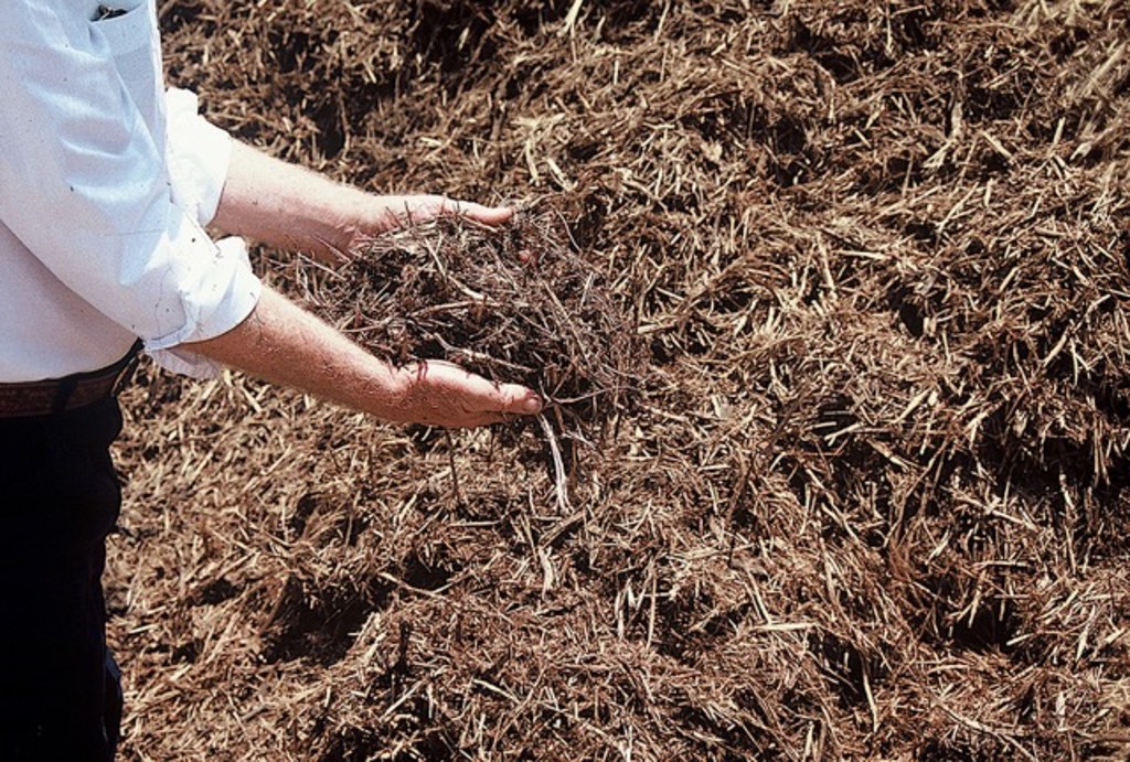 Wood chip mulch - perfect for growing beds to enrich soil, recycle