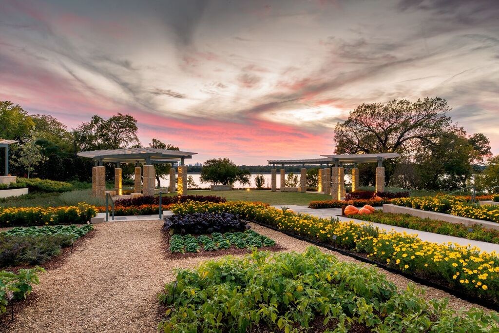 What's The Most Beautiful Place In Dallas? The Arboretum's New Pavilion ...