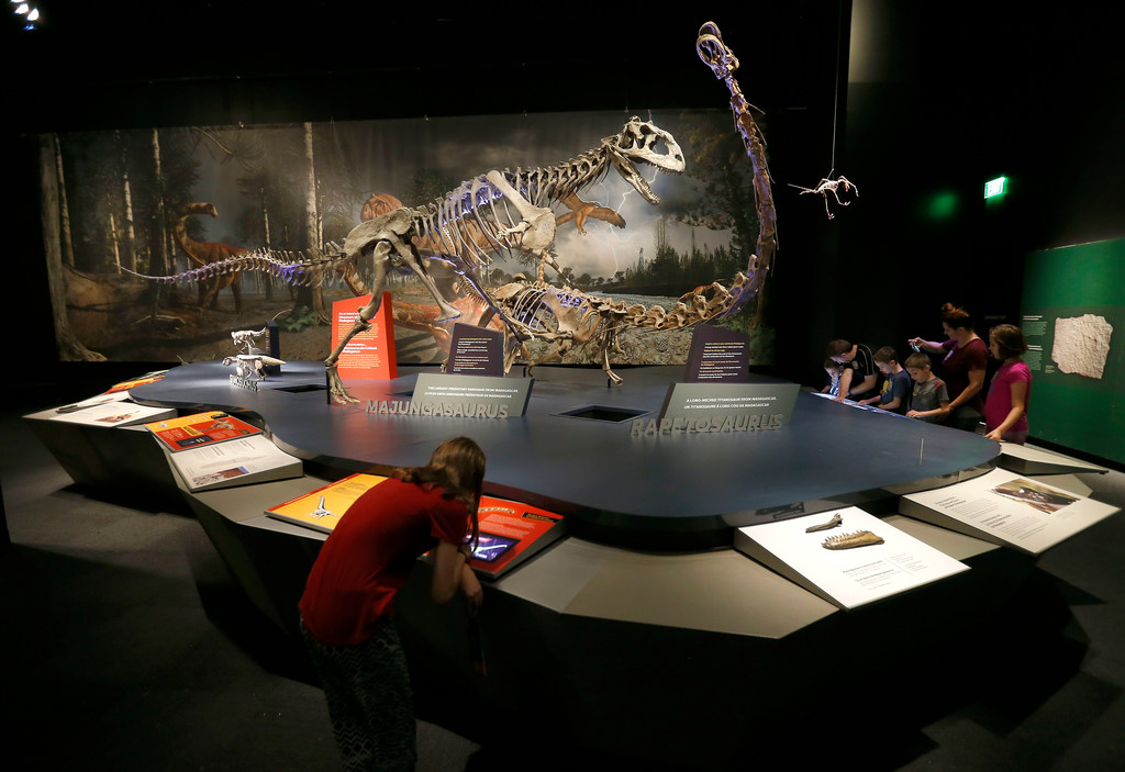 Drinks + dinosaurs mix at return of popular Thursdays on Tap at the Perot  Museum - CultureMap Dallas