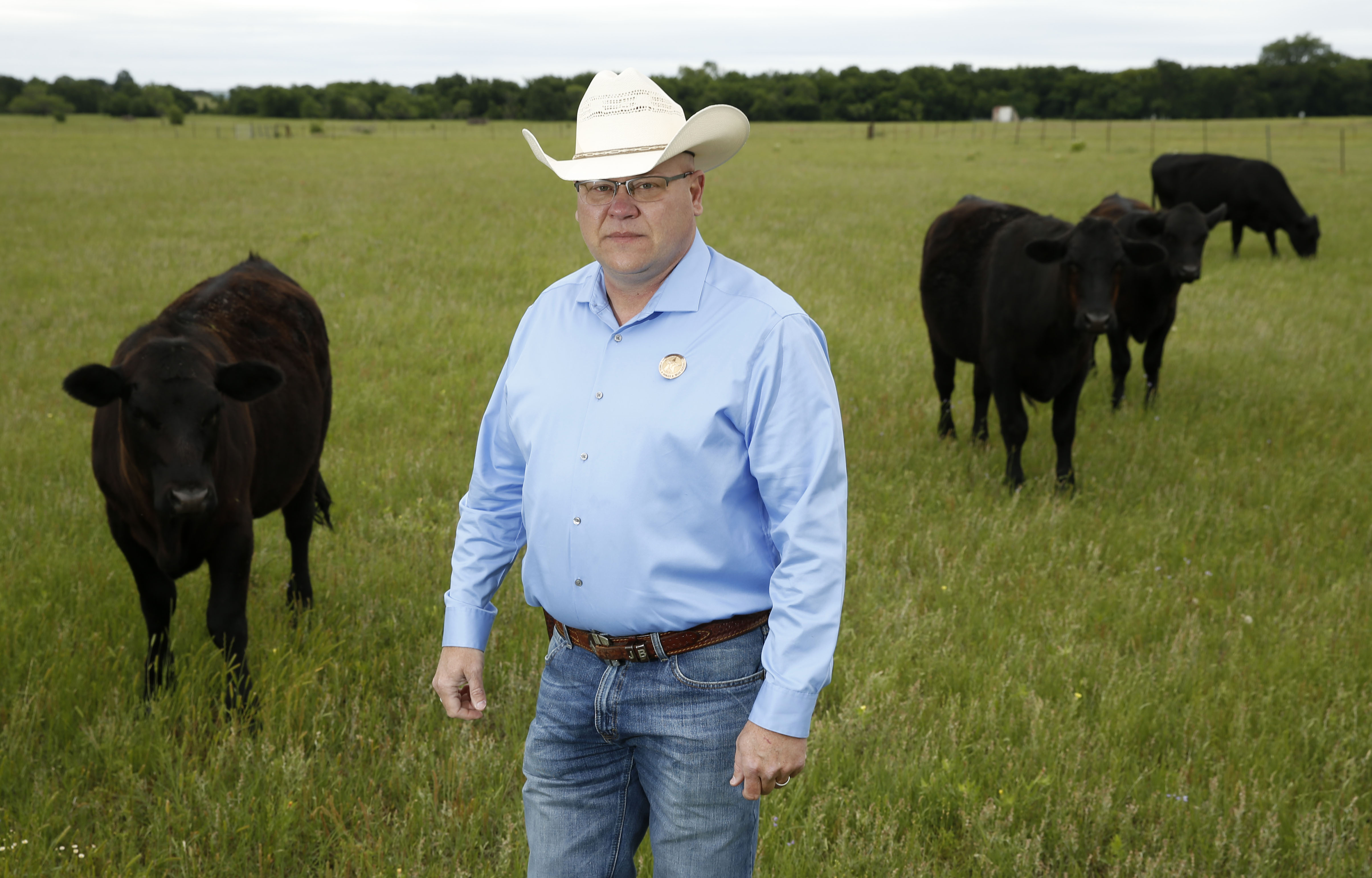 In Texas, cattle rustling evolves into sophisticated multimillion