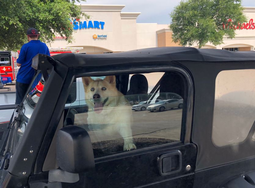 People Pets Evacuated After Gas Line Ruptures Near Mckinney