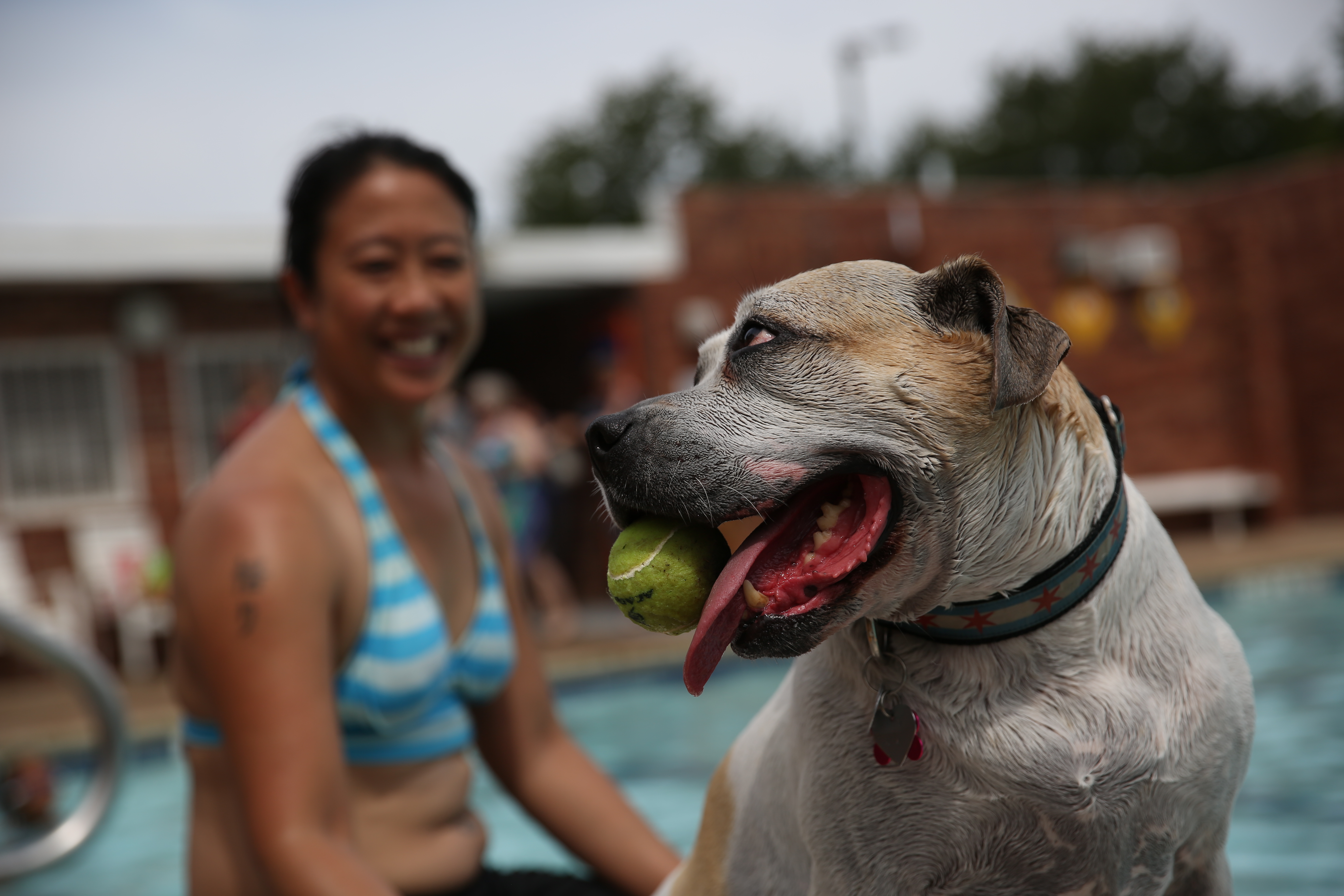 PetSmart - 10 tips from 748 visitors