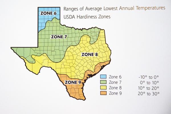 Week 6 With Neil Sperry Consider Hardiness When Choosing New Plants 