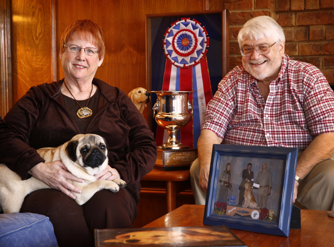 Doug The Pug - “When is a football team gonna have a pug as their