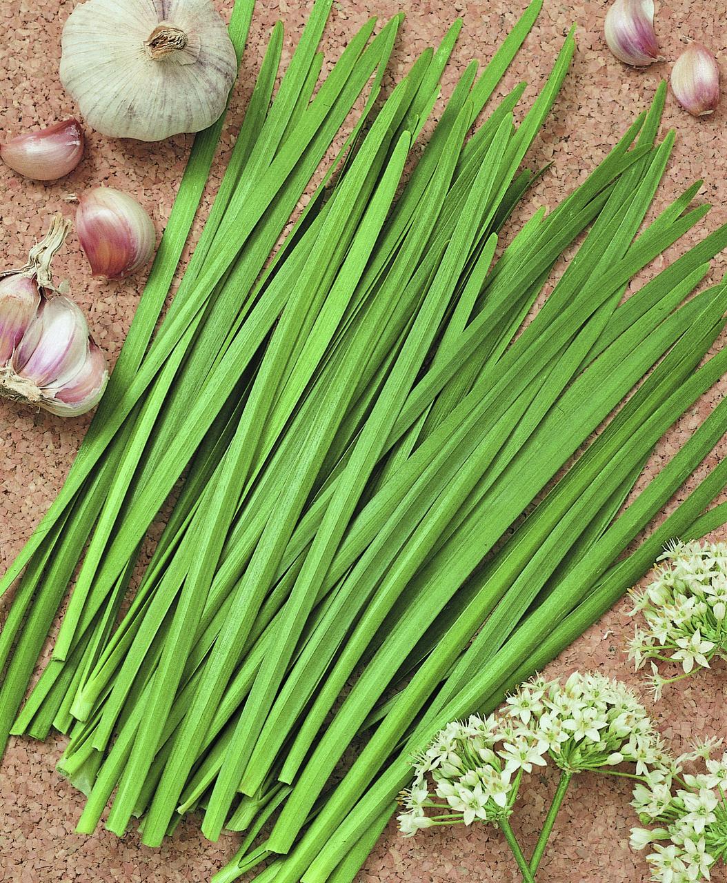 4 awardwinning herbs you should be growing Gardening Dallas News