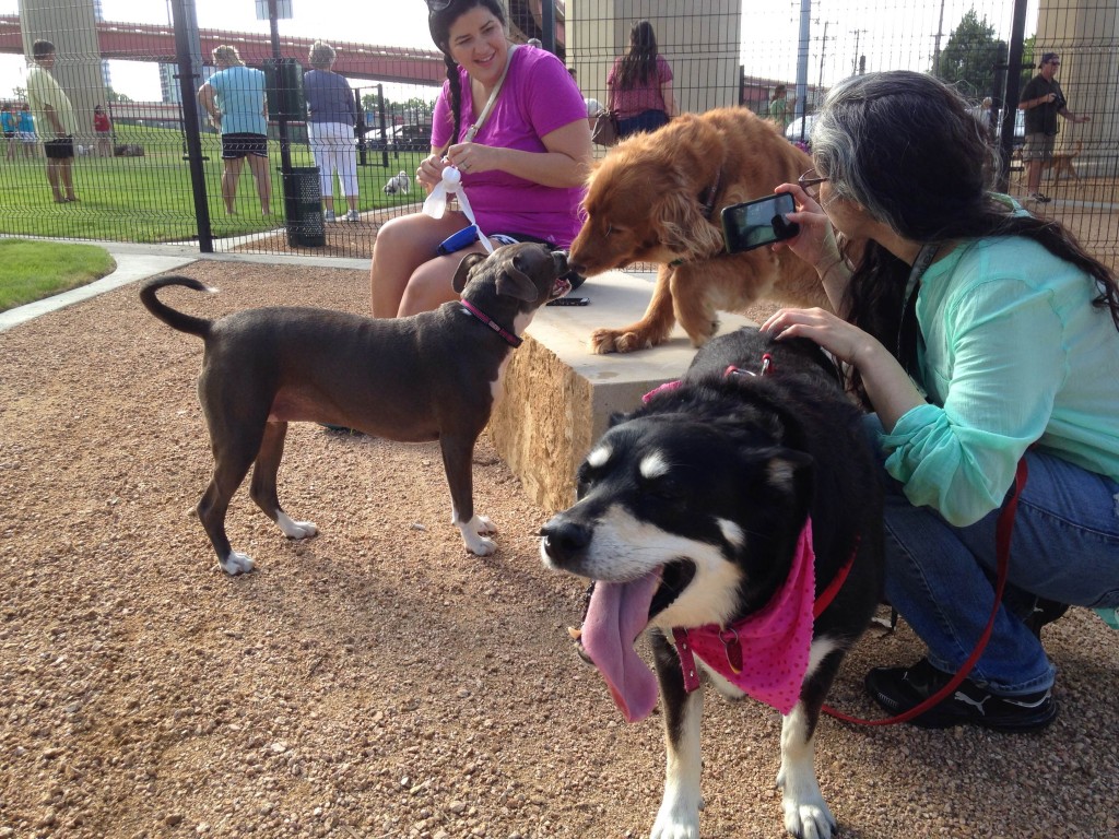 richardson dog park richardson dog park
