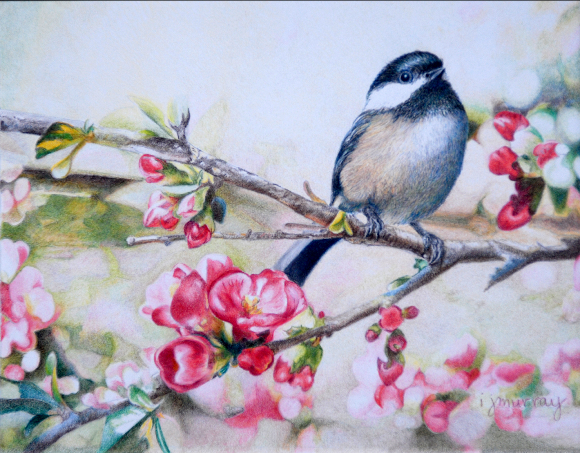 Colored Pencil Society exhibition in Richardson shows that coloring is