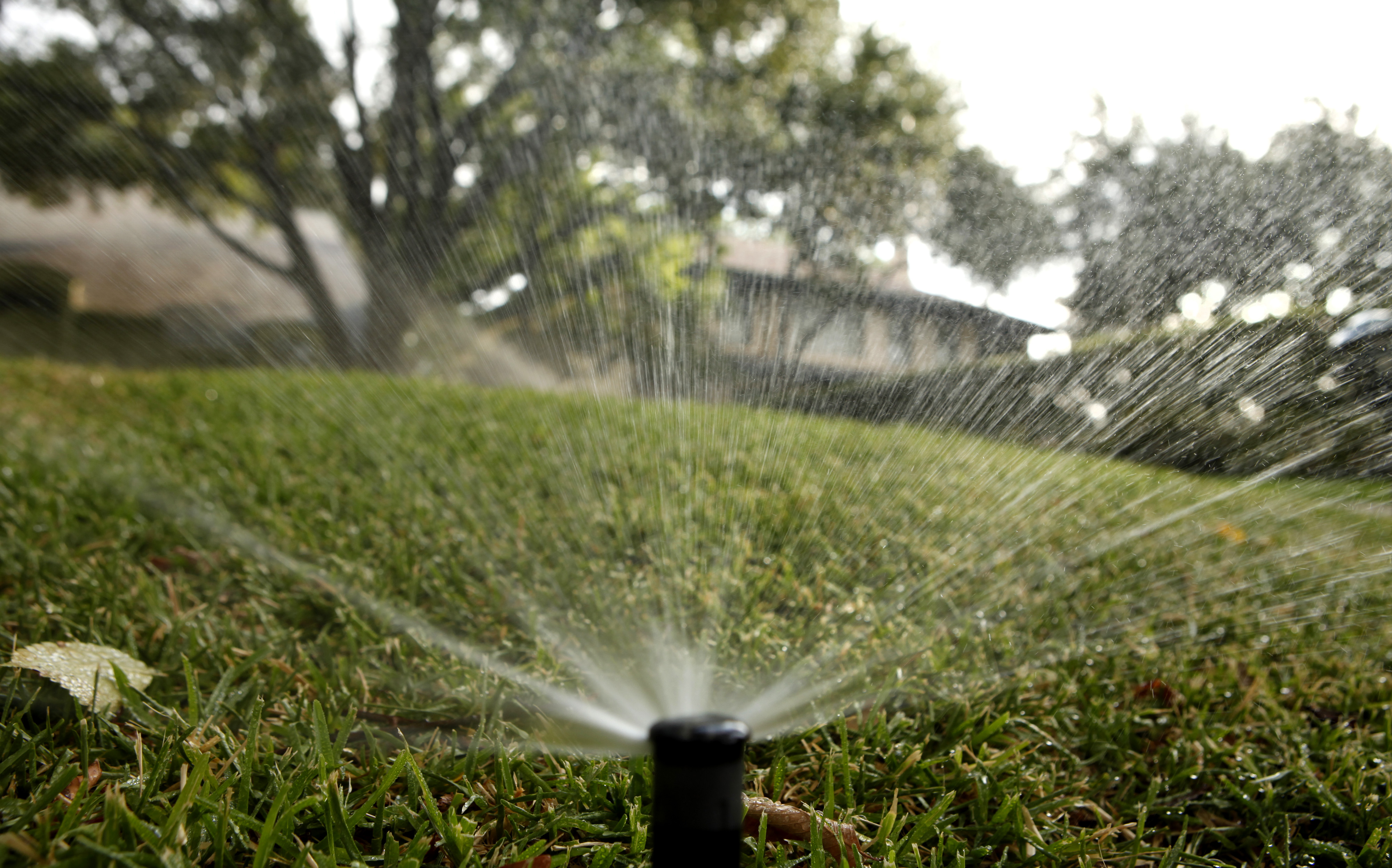 How much should you water your lawn? Texas A&amp;M website takes out the guesswork