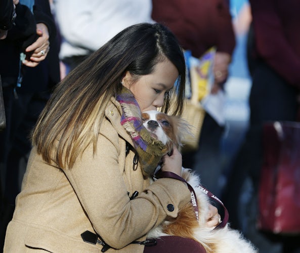 Photos: Nina Pham reunites with her dog Bentley | Dallas News | News ...