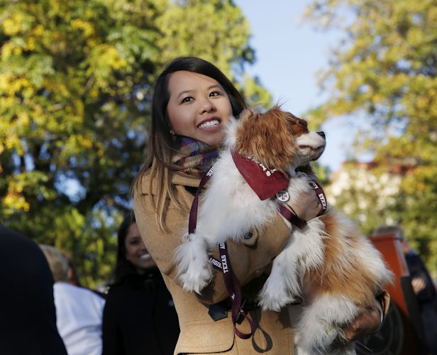 Photos: Nina Pham reunites with her dog Bentley | Dallas News | News ...