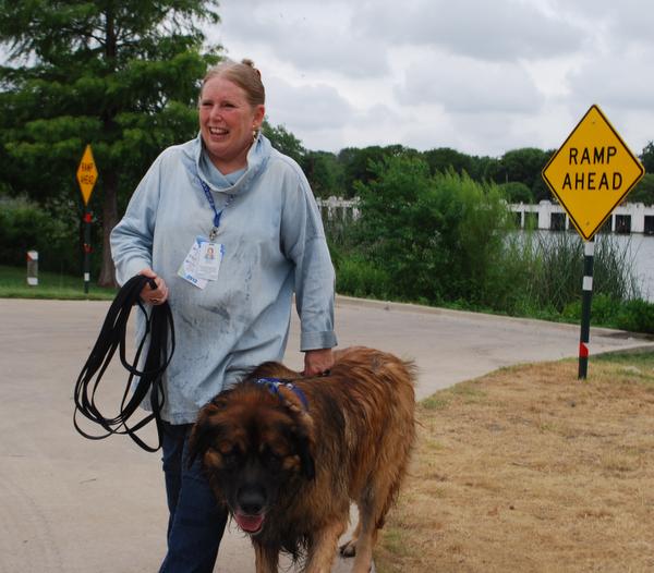 leonberger breeders midwest