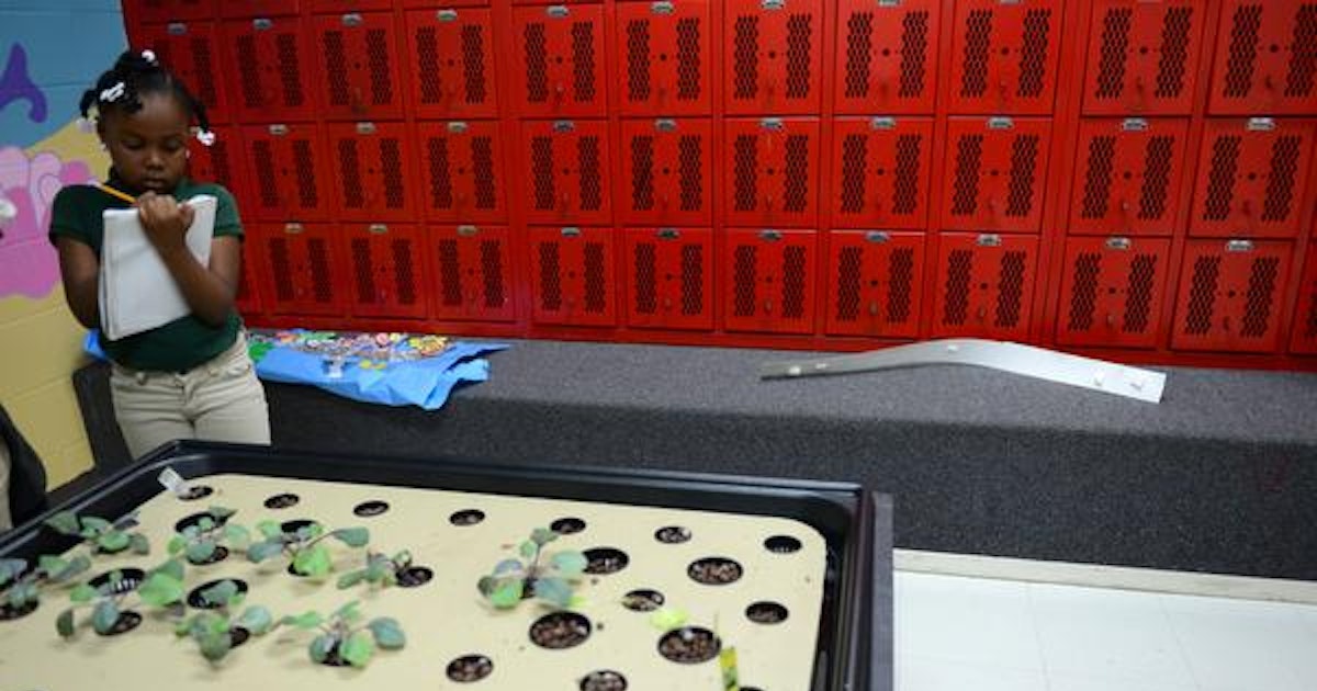 Project Pomona - These three finally got to hold the ... DeSoto school plants outdoor garden, aquaponics system for ...