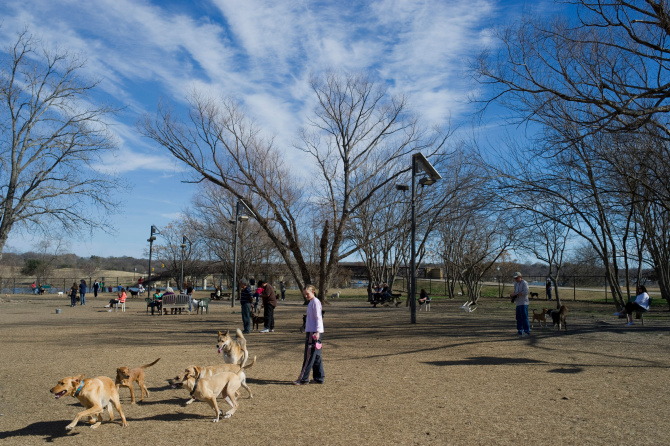Tails wagging in North Texas over new dog parks News Dallas News