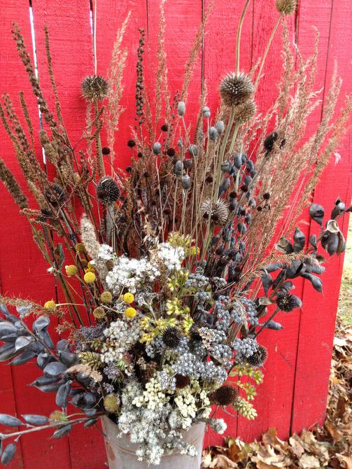 North Texas gardeners would be wise to scatter wildflower seeds in